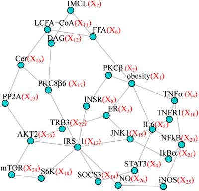 PMINR: Pointwise Mutual Information-Based Network Regression – With Application to Studies of Lung Cancer and Alzheimer’s Disease